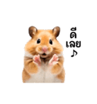 動く！リアルハムスター（タイ語）（個別スタンプ：6）