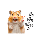 動く！リアルハムスター（タイ語）（個別スタンプ：12）
