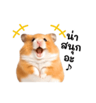 動く！リアルハムスター（タイ語）（個別スタンプ：13）