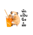 動く！リアルハムスター（タイ語）（個別スタンプ：20）