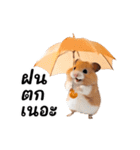 動く！リアルハムスター（タイ語）（個別スタンプ：22）