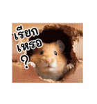 動く！リアルハムスター（タイ語）（個別スタンプ：24）