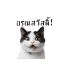 動く！猫の日常（タイ語）（個別スタンプ：2）