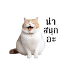 動く！猫の日常（タイ語）（個別スタンプ：5）