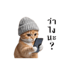動く！猫の日常（タイ語）（個別スタンプ：14）