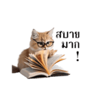動く！猫の日常（タイ語）（個別スタンプ：18）