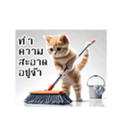 動く！猫の日常（タイ語）（個別スタンプ：22）