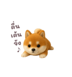 動く！豆柴わんだふる（タイ語）（個別スタンプ：10）
