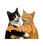 敬語なリアル猫（個別スタンプ：3）