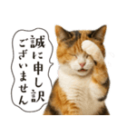 敬語なリアル猫（個別スタンプ：6）