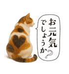 敬語なリアル猫（個別スタンプ：18）