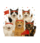 敬語なリアル猫（個別スタンプ：25）