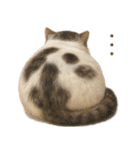 敬語なリアル猫（個別スタンプ：30）