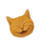 敬語なリアル猫（個別スタンプ：32）