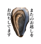 生牡蠣が会話するスタンプ【美味しい・食】（個別スタンプ：14）