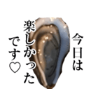 生牡蠣が会話するスタンプ【美味しい・食】（個別スタンプ：17）