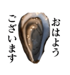 生牡蠣が会話するスタンプ【美味しい・食】（個別スタンプ：18）