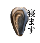 生牡蠣が会話するスタンプ【美味しい・食】（個別スタンプ：24）
