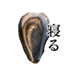 生牡蠣が会話するスタンプ【美味しい・食】（個別スタンプ：25）
