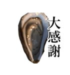 生牡蠣が会話するスタンプ【美味しい・食】（個別スタンプ：30）