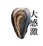 生牡蠣が会話するスタンプ【美味しい・食】（個別スタンプ：32）
