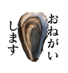 生牡蠣が会話するスタンプ【美味しい・食】（個別スタンプ：33）