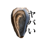生牡蠣が会話するスタンプ【美味しい・食】（個別スタンプ：37）