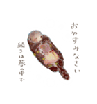 HINAHOの空想と動物スタンプ（個別スタンプ：11）