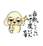ゆるだる犬【太郎】3（個別スタンプ：13）