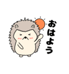 【毎日使える】ハリネズミのはーちゃん（個別スタンプ：1）