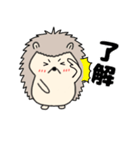 【毎日使える】ハリネズミのはーちゃん（個別スタンプ：8）