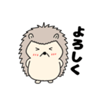 【毎日使える】ハリネズミのはーちゃん（個別スタンプ：27）