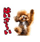 沖縄弁☆わんこ（個別スタンプ：1）