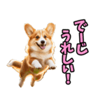 沖縄弁☆わんこ（個別スタンプ：10）