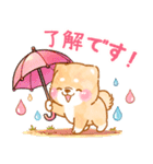 雨、梅雨、夏に使う❤️いやしばいぬ❤️（個別スタンプ：9）