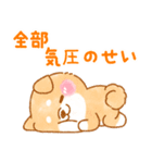 雨、梅雨、夏に使う❤️いやしばいぬ❤️（個別スタンプ：12）