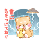 雨、梅雨、夏に使う❤️いやしばいぬ❤️（個別スタンプ：27）