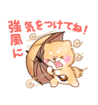 雨、梅雨、夏に使う❤️いやしばいぬ❤️（個別スタンプ：28）