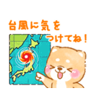 雨、梅雨、夏に使う❤️いやしばいぬ❤️（個別スタンプ：29）