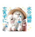 初夏♡ふわふわシロクマとネコ（個別スタンプ：12）