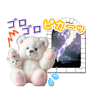 初夏♡ふわふわシロクマとネコ（個別スタンプ：29）