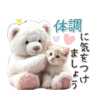 初夏♡ふわふわシロクマとネコ（個別スタンプ：30）