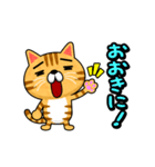 関西弁でまくしたてるトラ猫（個別スタンプ：1）
