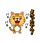 関西弁でまくしたてるトラ猫（個別スタンプ：3）