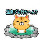 関西弁でまくしたてるトラ猫（個別スタンプ：14）