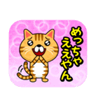 関西弁でまくしたてるトラ猫（個別スタンプ：16）