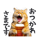 にゃんとも！ビール！（敬語やさしい日常）（個別スタンプ：3）