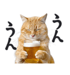 にゃんとも！ビール！（敬語やさしい日常）（個別スタンプ：4）