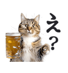 にゃんとも！ビール！（敬語やさしい日常）（個別スタンプ：5）