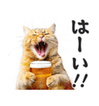 にゃんとも！ビール！（敬語やさしい日常）（個別スタンプ：6）